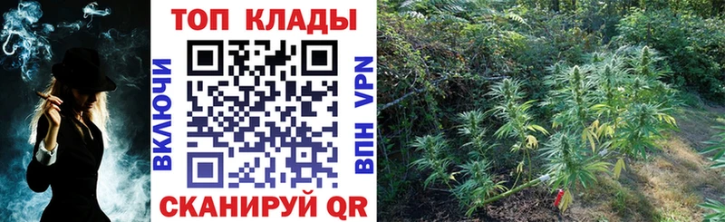 Цена Олонец Альфа ПВП  Меф  МАРИХУАНА 