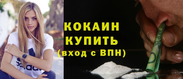 дурь Няндома