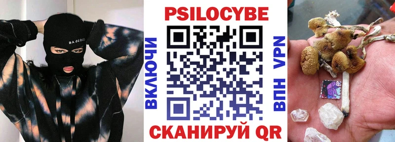 Псилоцибиновые грибы мухоморы  OMG как зайти  Олонец  продажа наркотиков 
